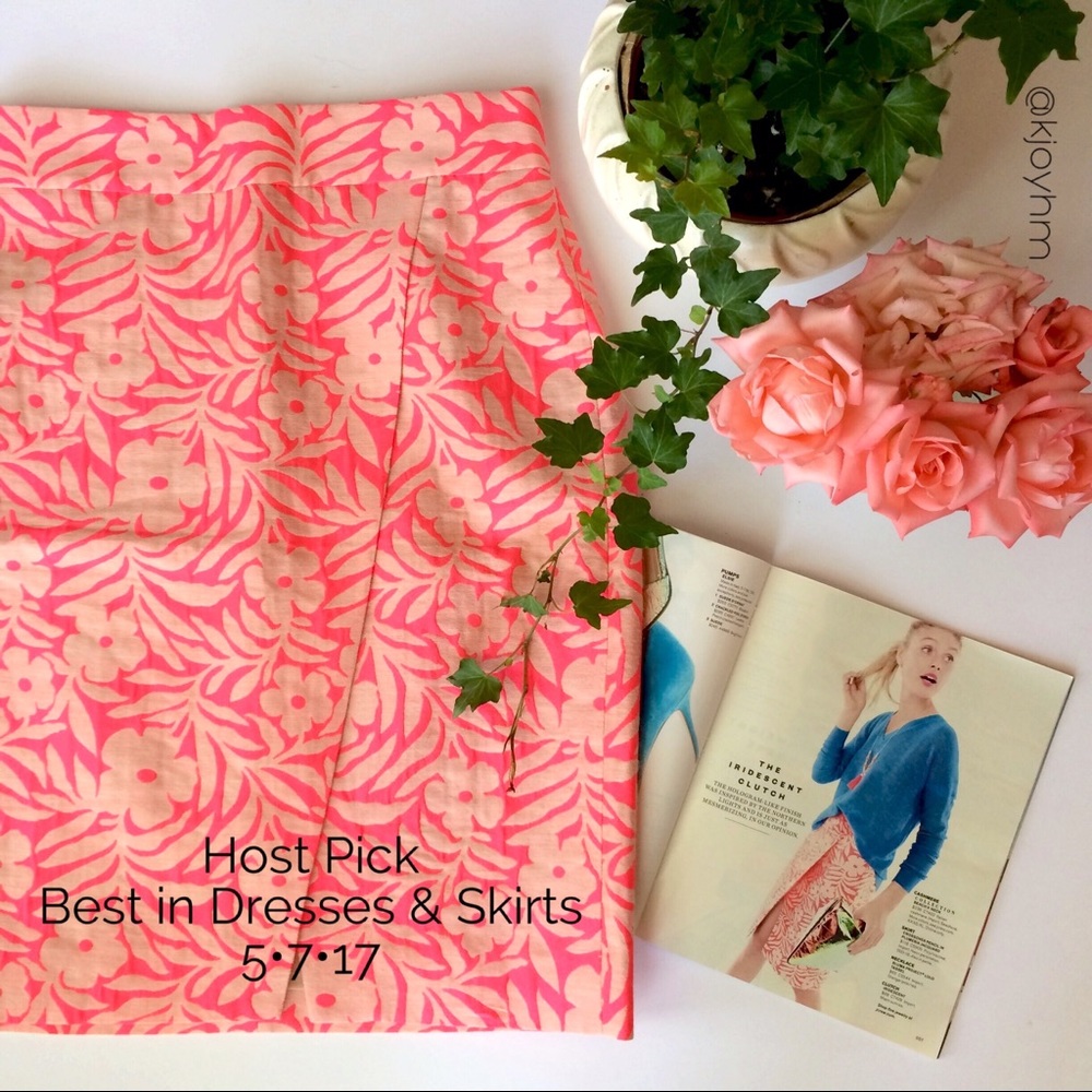 HP🎉 J Crew skirt